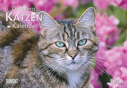DUMONT Dumonts Katzenkalender 2024, im Format 42 x 29 cm, Monatskalender mit Schulferienterminen, Tierkalender mit Katzen-Kurzgeschichten