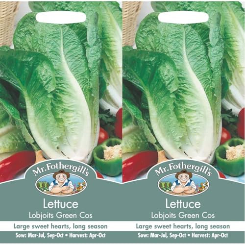 Mr Fothergill's 16416 Vegetable Seeds, Lettuce Lobjoits Green Cos (Pack of 2)
