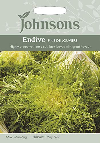 Johnsons Seed Endive Fine de Louviers Seed