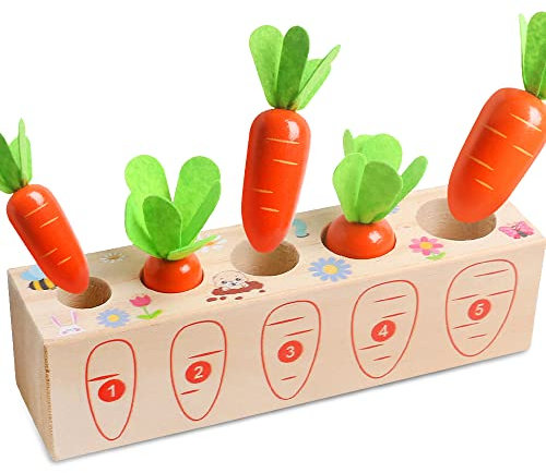Montessori Spielzeug,Karotten Steckspiel Holz Sortierspiel Lernspielzeug Kleinkind Spielzeug Holzspielzeug Baby Lernen Feinmotorik Geschenke Kinder
