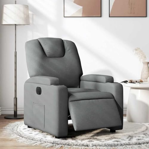 Owoxanthellate Poltrona relax elettrica grigio scuro tessuto 74 x 88 x 97 cm con funzione sdraio, design moderno e struttura durevole per soggiorno, camera da letto, Home Cinema
