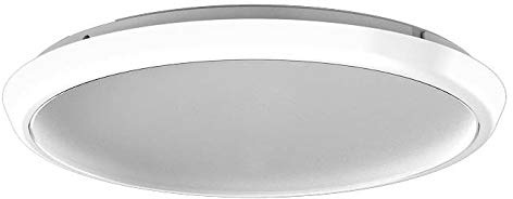 RZB LED-Wand-/Deckenleuchte 221178.002.1