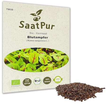 BIO Keimsprossen Blutampfer Bio Keimsaat von SaatPur - Sprossen, Microgreens - 2g