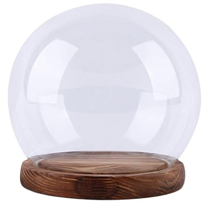 Cloche - Cupola in vetro con base da tavolo, 12 cm