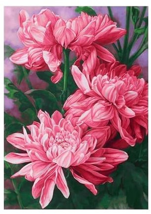 Cooiiye Diamond Painting Rote Chrysantheme,DIY 5D Diamond Painting Set Erwachsene Vollbohrer Strass Kristall Kreuzstich Stickerei Diamant Painting Bilder für Wohnzimmer Wanddeko Round Drill,100x150cm