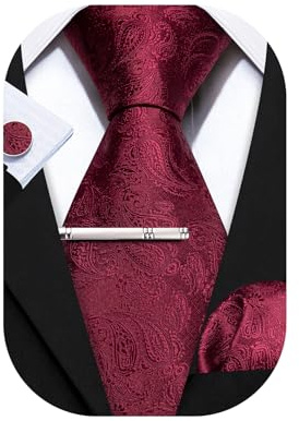 Barry.Wang Men Tie Set Silk 4PC Stripe Paisley Necktie Pocket Square Cufflinks Ties Clip Party Classic Wedding Anniversaries Gift Box