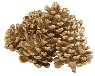 Pinienzapfen - Pinus Pinea - Pinie - Kiefernzapfen - Tannenzapfen - Zapfen - Herbstdeko - Weihnachtsdekoration - Metallic Platin - ca. 8 cm Höhe - VE = 8 Stück- 30027