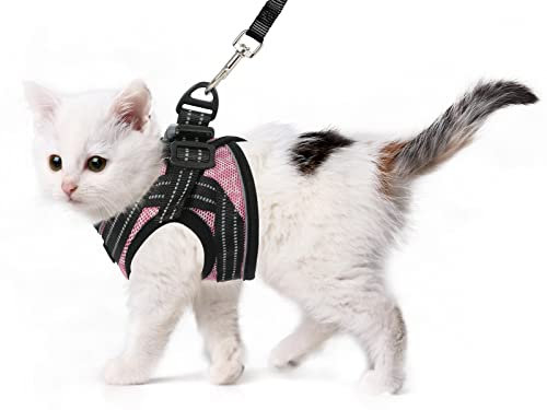 CatRomance Katzengeschirr und Leine, ausbruchsicher, verstellbares Katzengeschirr für extra kleine Katzen, atmungsaktiv, weich, Größe S (Brustumfang 26.7 - 29.2 cm, Gewicht 1.5 - 3 kg)