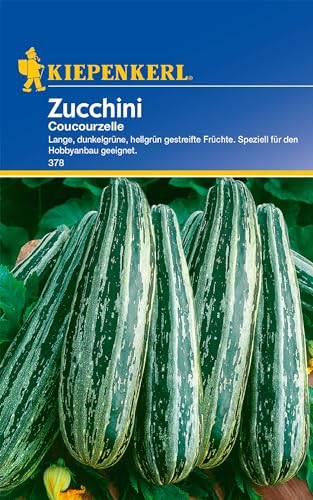 Kiepenkerl Zucchinisamen Coucourzelle - Ertragreiche Gemüsesamen für gestreifte Zucchini, Zuverlässige Sorte mit mildem Aroma, Ideal für den Gemüsegarten und frisches Gemüse