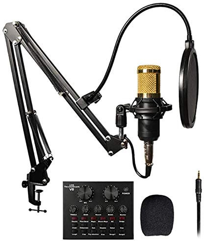 CVNIMV Mezclador de línea de 2 Canales con Ruido ultrabajo, Tarjeta de Sonido en Vivo Multifuncional, Mezclador Digital de 2 Canales Amplificado AMP/DAC/entradas XLR de Efectos
