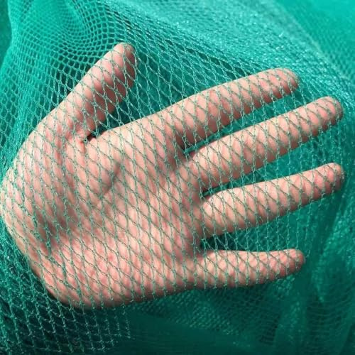 Hagel- och fågelnät för fruktträdgård damm – kraftigt HDPE anti-aging-nät för att skydda frukt och grönsaker upphöjda sängar från hagelskador, katt hund kycklingpenna nät (1 x 50 m)