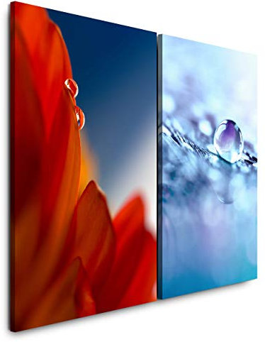 Paul Sinus Art Wandbild 2 teilig je 60x90cm Blume Wasserperle Wassertropfen Rot Blau Fotokunst Makrofotografie