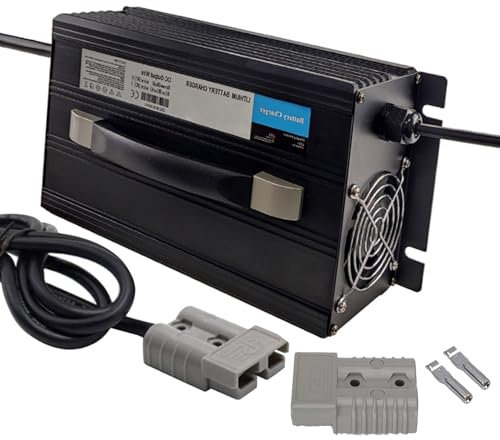 HYDTGZ Chargeur de Batterie pour Chariot Élévateur Haute Puissance 1200 W 24 V 40 A avec Écran LCD, Charge d'entretien pour Transpalettes Électriques 24 V, Chariots Élévateurs Autolaveuses,A,175A