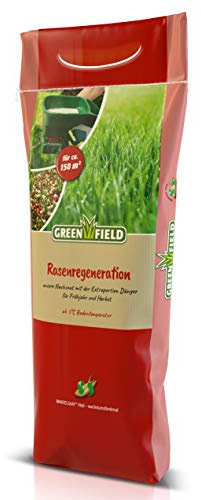 Greenfield Graines de régénération pour gazon 5 kg pour env. 150 m²