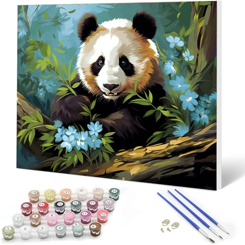 Auremi Panda Peinture par numéros 20x30 avec cadre–Animaux Peinture par numéros adulte facile–Kit cadeau créatif pour–Tableau DIY détente à peindre