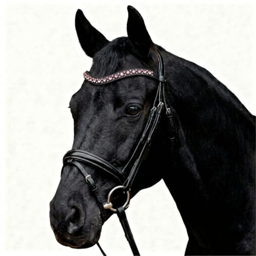 Pferdelinis Geschwungener Stirnriemen mit funkelnden Kristallen in Silberoptik – sorgt für einen stilvollen und glamourösen Auftritt im Training und auf dem Turnier (Schwarz-Pink, Pony)