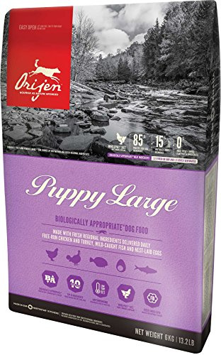 Orijen Puppy Large Breed Whole Prey - 6 kg