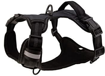 Floxik Hundegeschirr grau M | Anti Zug Brustgeschirr reflektierend & gepolstert mit Haltegriff für mittelgroße und große Hunde | Auch als Welpengeschirr geeignet
