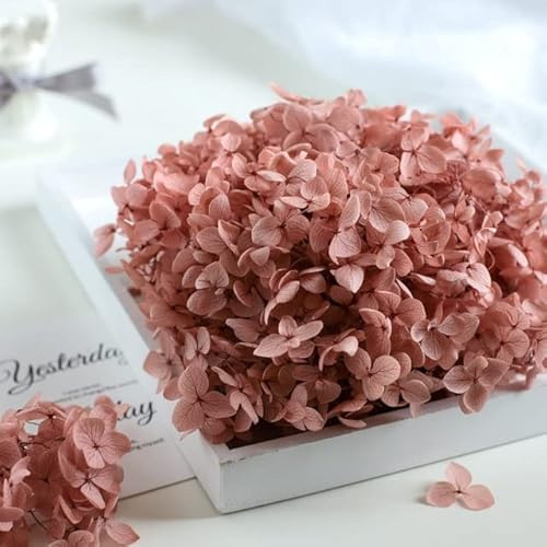 LEEYOX 15 g/Borsa Ortensia Fiore Secco Pianta Naturale Conservato Foglie di Fiori Freschi per Artigianato Fai da Te Decorazione Fiori Eterni Materiale