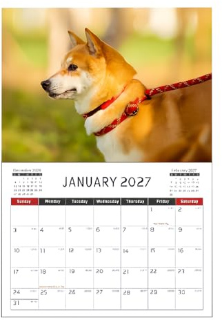 Söt djurkalender - Kreativ söt - Hundar och katter väggkalender | för hem skola bord skrivbord arbetsrum planering familj organisera arbetsplats vänner