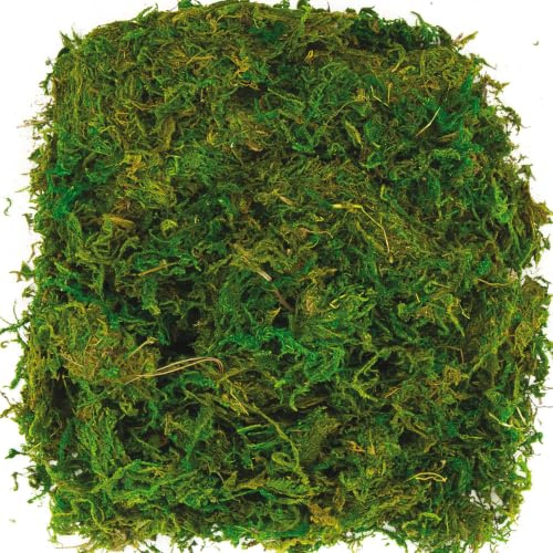 Baker Ross AV898 Dried Moss (Pack of 100G),Green, NA