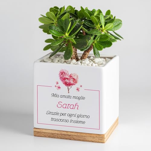 Maverton Fioriera, ceramica, stampa personalizzata, dimensioni 13,5 x 13 x | 13 Cm, vassoio sottovaso, vaso per fiori quadrato, regalo feste, pensiero originale per donna, fior di cigliegio