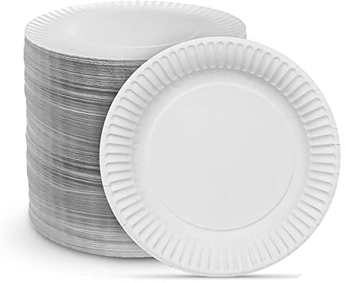 HOT BARGAINS Paper Plates 9 Inch, Pack of 1000, White, for Parties and Events