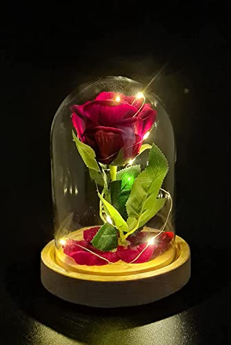 Mc Composizioni Campana in Vetro La Bella e La Bestia con Rosa Artificiale Natale Compleanno Donna San Valentino
