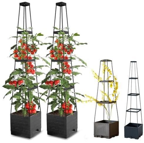 Obelisco di sostegno per pomodori con fioriera, fioriera a torre per piante rampicanti, 2 pezzi con traliccio e serbatoio d'acqua