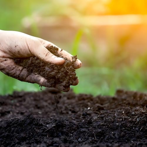 60L Multi Purpose Compost – Premium Potting Soil for Plants, Vegetables, Flowers, Herbs, Shrubs, Seeds, Garden Beds, Raised Planters, Indoor Houseplants, Greenhouse & Outdoor Use