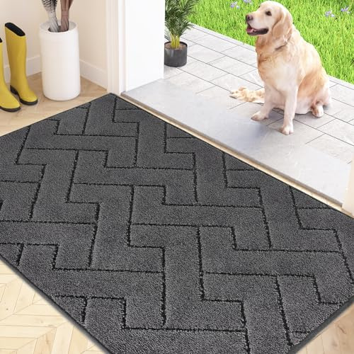 FCSDetaljer Smutsfångande matta inomhus 80 x 120 cm, halkfri dörrmatta, tvättbar ren entrématta, absorberande dörrmatta för hund, entré, ytterdörr och hall