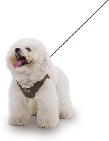 SMALL COMBINATION Hundegeschirr, Leinen-Set für kleine und mittelgroße Hunde, verstellbar, reflektierend, Welpen, Katzengeschirr, Haustierweste, Chihuahua, Yorkies, Spaziergänge im Freien (Braun, XS)