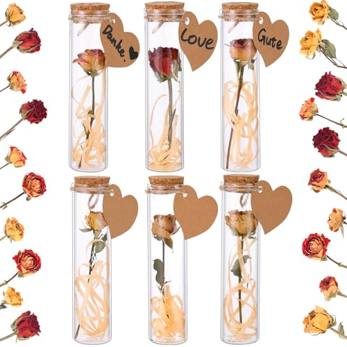 Chsukozic Kleines Dankeschön Geschenk für Kollegen: 6er Set Trockenblumen in Glas mit Herzanhänger & Hanfseil | Danke Geschenk & Idee als Dankeschön Geschenke für Büro, Freunde