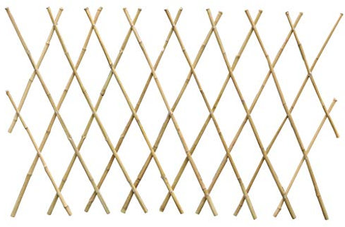 BBGS Ausziehbarer Holzzaun, erweiterbarer Gartenblumenpflanzenständer Korrosionsschutz Anti-Insekten-Faltung Erweiterbares Holzgitter für Kletterpflanzen (Size : 0.4x2m)