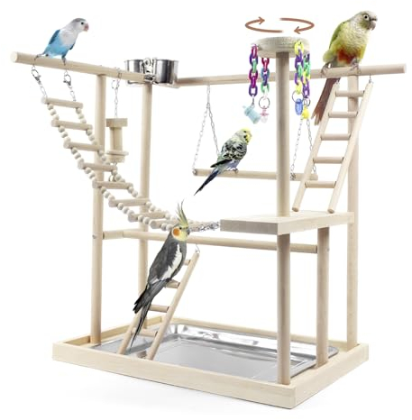 Vogelspielplatz, Sitzstangenständer Papageienspielständer Play Gym mit 2 Lagen Standspielzeug, Laufstall für Sittich Nymphensittich Unzertrennliche, Übung Playgym mit Futtertassen Edelstahl