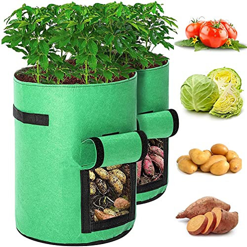 TFixol Lot de 2 sacs de culture de pommes de terre, sacs de plantation de pommes de terre avec rabat et poignées pour pommes de terre, ato, carotte (vert, taille M)