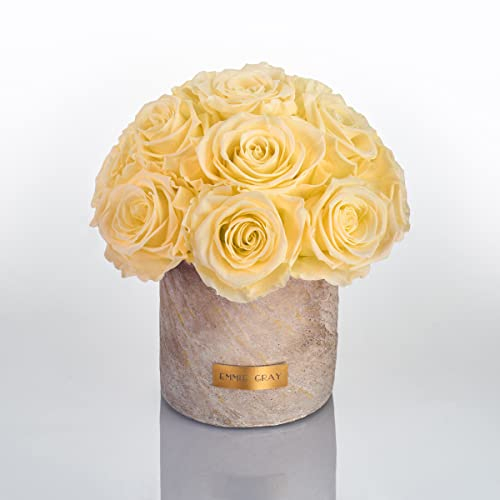 Solid Infinity Collection Golden Sand - Traumhafte Infinity Rosen, 1-3 Jahre haltbare Rosen, Betonvase mit echten, konservierten Rosen, edle Premiumrosen - Größe S (Champagne)