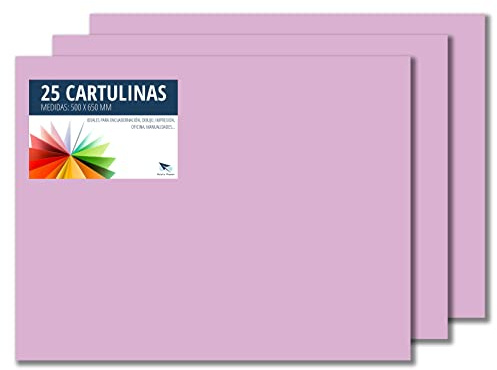 Raylu Paper – Papier Cartonné 50 x 65 cm Coloré, 25 Feuilles Cartonnées, Papier Epais de Couleur, pour l’Ecole, le Bureau, le Scrapbooking, les Activités Manuelles, 180g/m² (Lila)