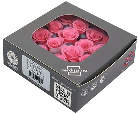 Générique VERDISSIMO Rose Stabilisée Mini Princesse de 2 à 2.5 cm de diamètre (Pastel Pink)