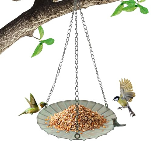 Générique Mangeoire Plate Pour Oiseaux, Plateau Suspendu Grande Capacité En Fer | Mangeoire À Corbeaux, Pour La Décoration Extérieure Du Balcon De La Balustrade Du Jardin Attirant Les Colibris Sauvage