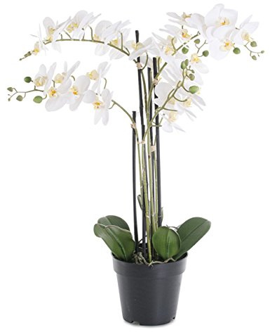 levandeo Weiße Orchidee 72cm Pflanze Kunstblume Kunstpflanze Dekoration Blume Dekoblume