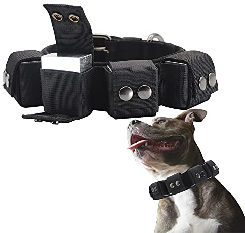 Walktime, Hundehalsband, Taktisches Hundehalsband, Gewichtetes Hundehalsband mit Gewichten für Hundetraining und Trainingsgeräte - Freie Gewichte, kleine, mittelgroße, große Hunde