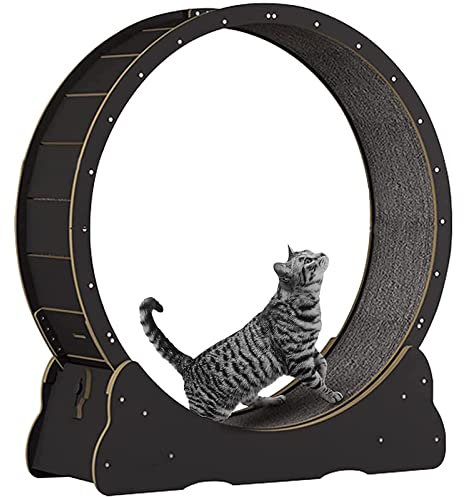 katzenlaufrad Hölzernes Katzenübungs-Riesenrad, Haustierfreundliches Katzenlaufband, Indoor-Katzenlaufrad, Winziger Spalt und Leise Riemenscheiben,Black-S