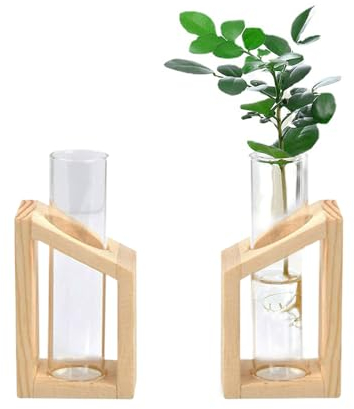 2 Stücke Hydroponische Glasvase,Reagenzglas Blumenvase, Glass Planter vase, Glass Test Tubes for Flowers, for Plants, Plant Propagation, Hydroponics, Decoration, mit Wooden Stand