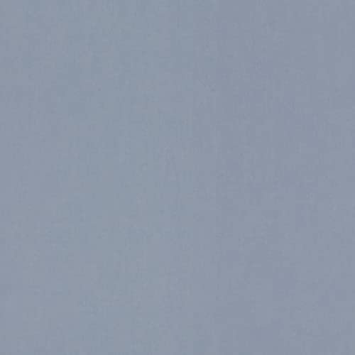 Rasch Carta da parati 710441 – Carta da parati liscia in tessuto non tessuto con effetto tessile in blu-grigio chiaro della collezione Sophia – 10,05 m x 0,53 m (lunghezza x larghezza)