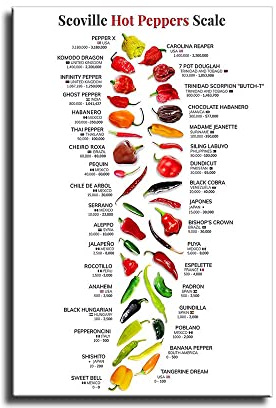LILIIY Scovill Hot Peppers Waage Poster Chilli Capsicum Wissensposter Naturpflanze, Gourmetbotanischer Leitfaden für Küche, frisches Geschenk, Wohnzimmer-Drucke, Schlafzimmer-Dekor (40,6 x 61 cm ohne
