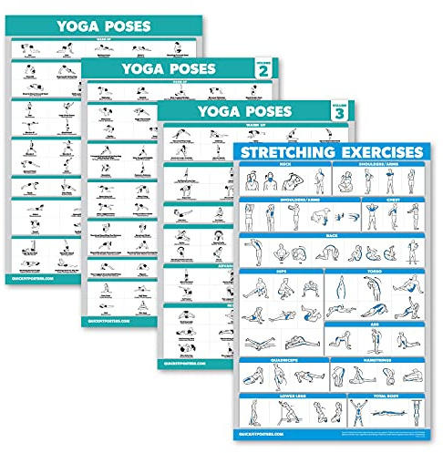 Palace Learning 4 Pack: Yoga Poses Posters Volume 1, 2 & 3 + Stretching Workout Exercise Chart