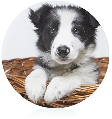 Chiot Basket Planches À Découper De Cuisine Planche À Hacher Aliments Pour Fruits Légumes Viande 20 cm