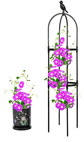 Obelisco per rampicanti,Garden Supporto Piante Rampicanti,Nero Grigliato a Colonna,Adatta a Tutti i Tipi di Piante rampicanti,ortaggi,Fiori, 11.4Dia x47.3 H ( Size : 11.4/29cm Dia x47.3/120cm H )