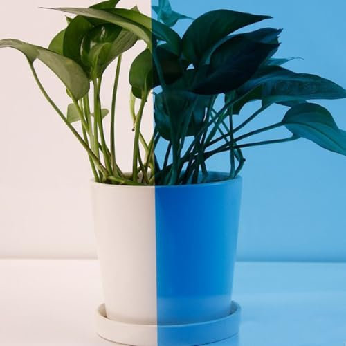ACESOME Sichtschutzfolie Fenster, Fensterfolie Transluzent Folie Für Fenster Fensterfolie Buntglas, Sonnenschutzfolie Selbstklebend Spiegelfolie Wärmeschutzfolie UV Schutzfolie (Blau, 30 x 100 cm)